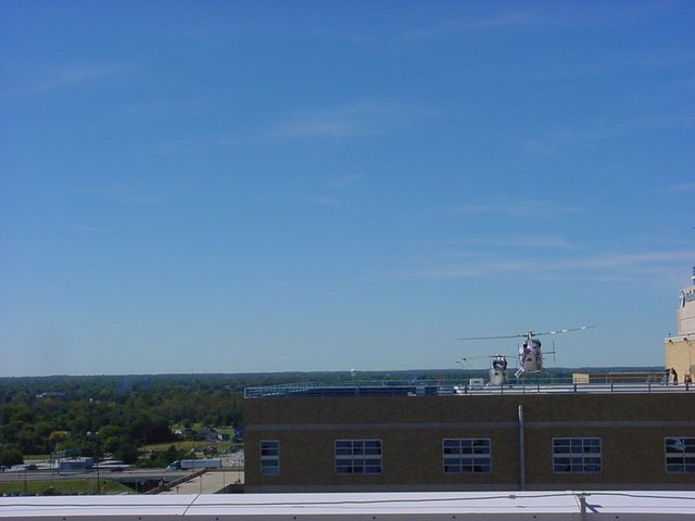 aae