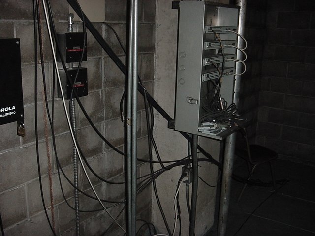 aal